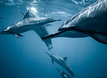 开云APP-崔康熙轮换遭惨败 战略性放弃他早已心中有数？